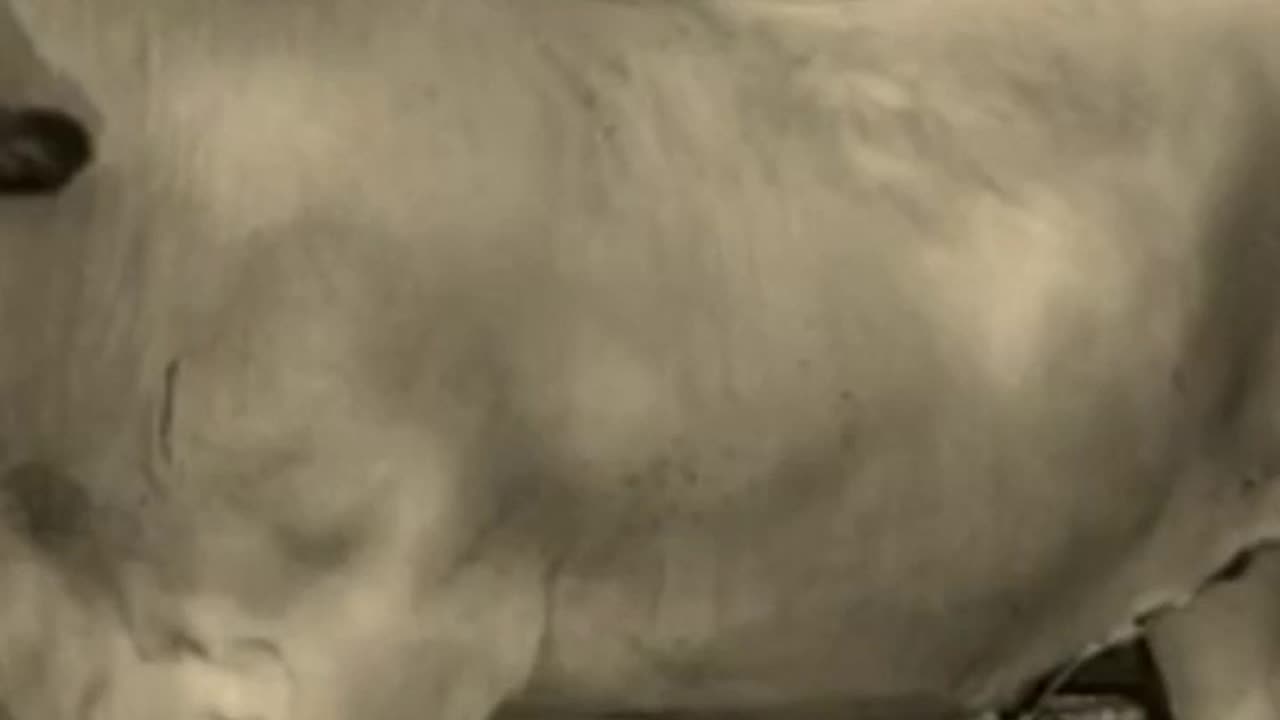 An Unexpected Journey (Short)