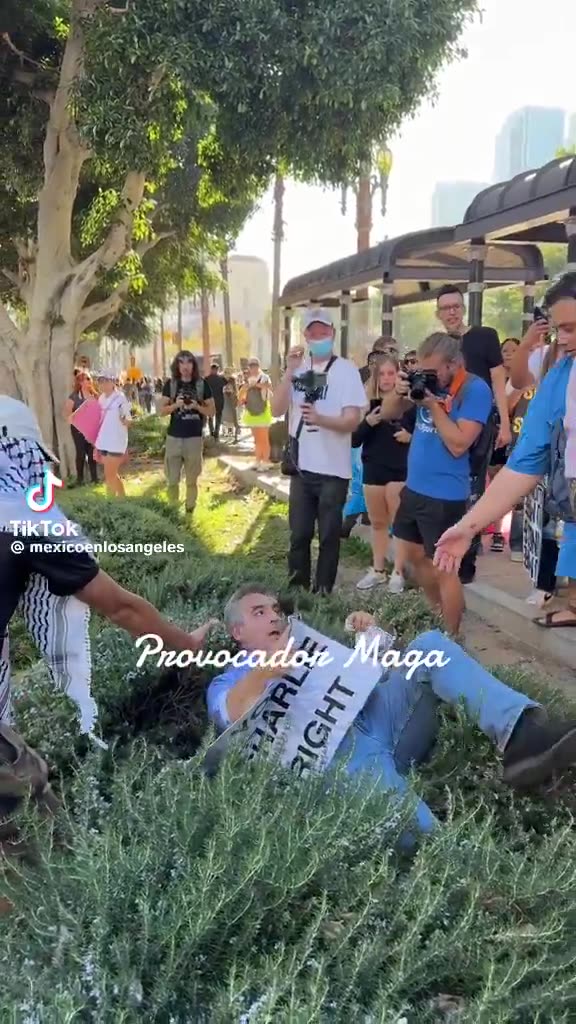 Man holding a "You proved Charlie right" sign was ATTACKED and pushed to the ground