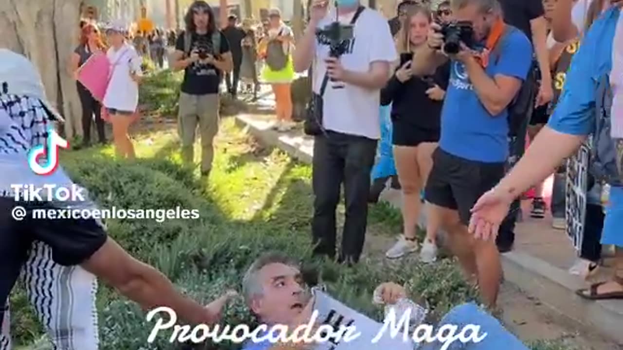 Man holding a "You proved Charlie right" sign was ATTACKED and pushed to the ground