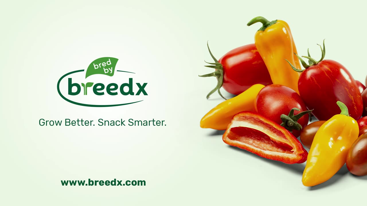 Pepper Farming with Breedx