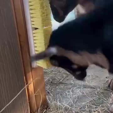 It's the little things...