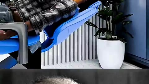 trending video popular video viral video