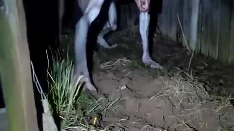scary video