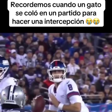 En 2019, un gato se coló en un partido de la NFL y realizó esta intercepción / Vía