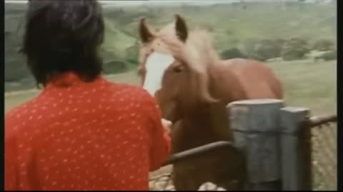 Paul McCartney & Wings - Listen To What The Man Said (1975)