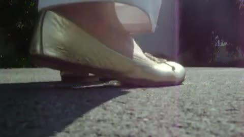 Apple Walkover