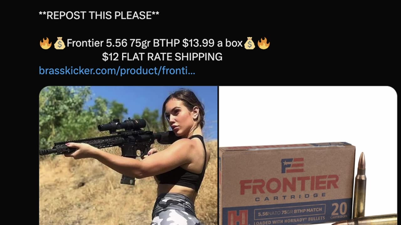 Morning Would • by DP • 11-11-2025