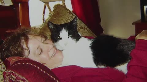 Dangerous Pet Vaccines