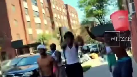 Blacks Attacking Elderly