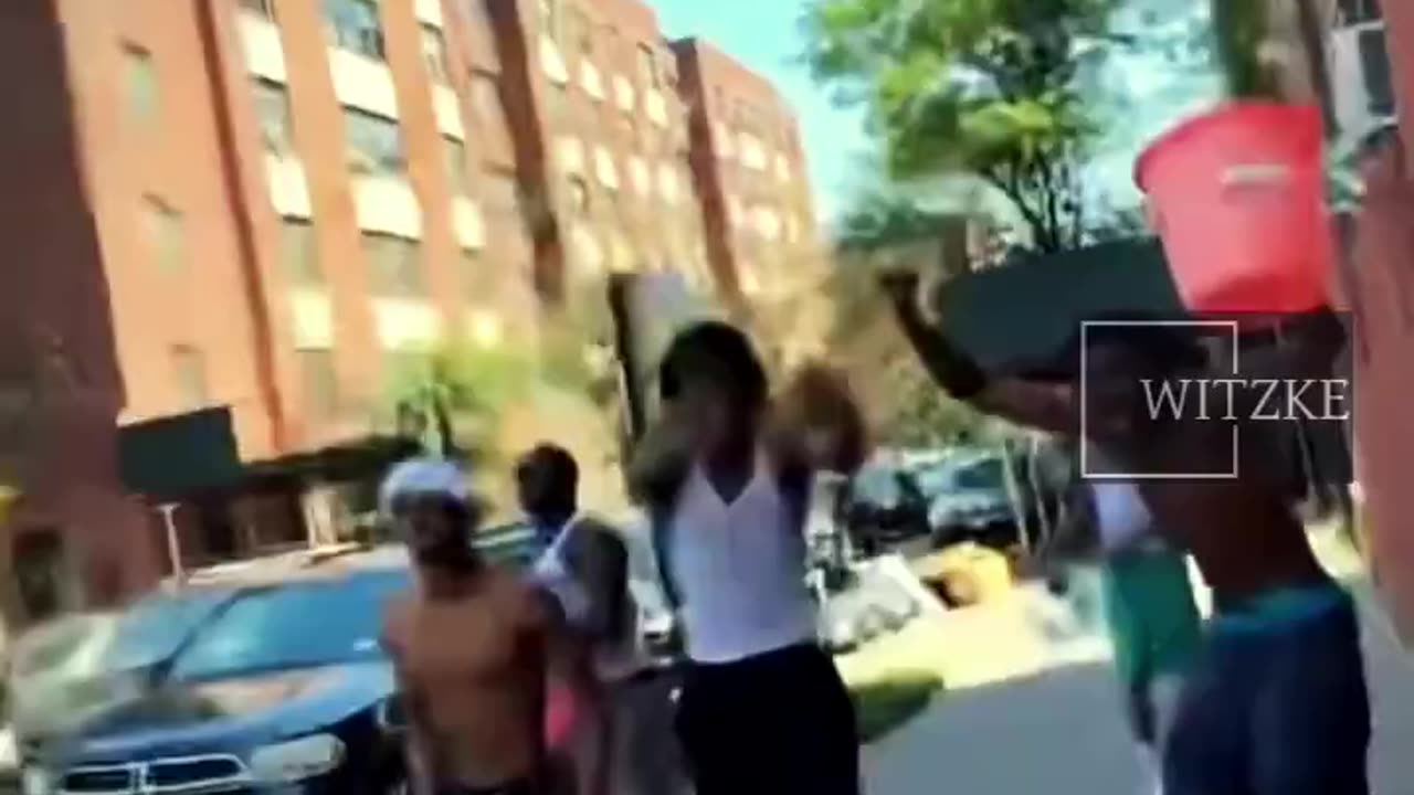 Blacks Attacking Elderly