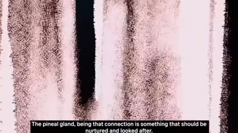 Pineal Gland