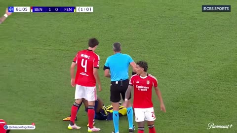 Benfica v Fenerbahce Highlights