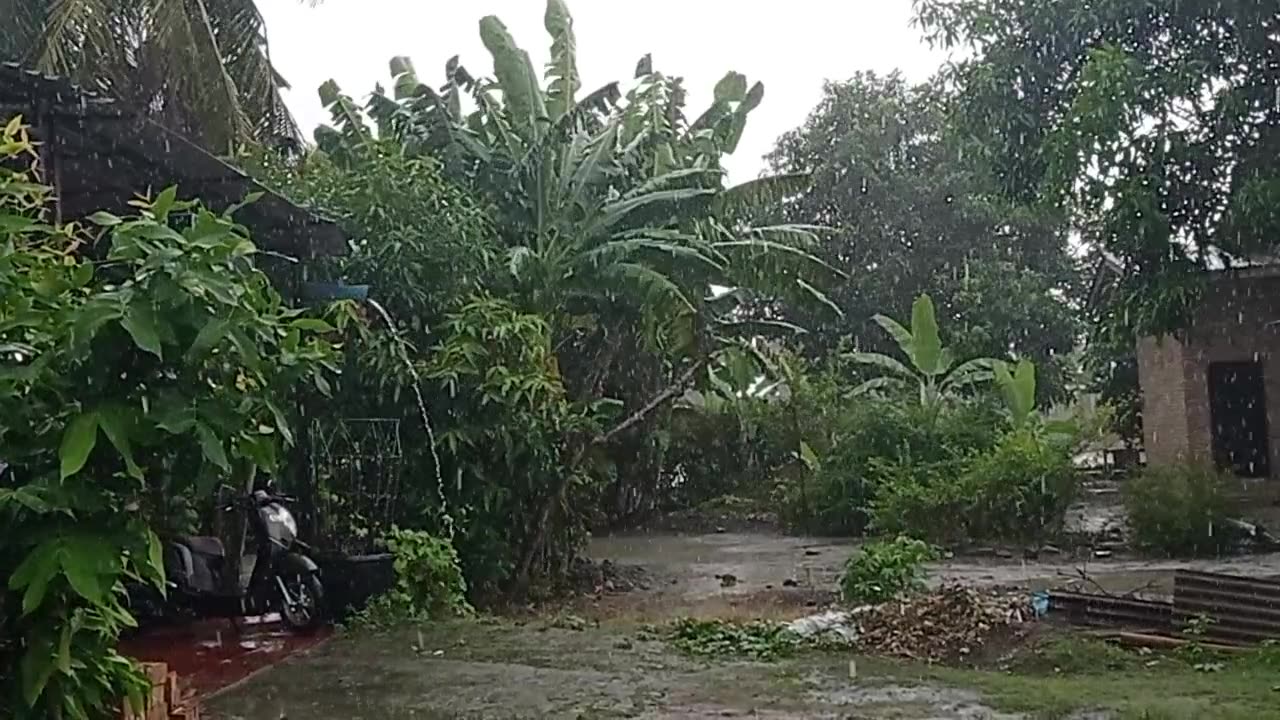 Heavy Rainfall Moments | Relaxing Rain Sounds and Atmosphere