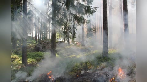 Things are Building to a Climax