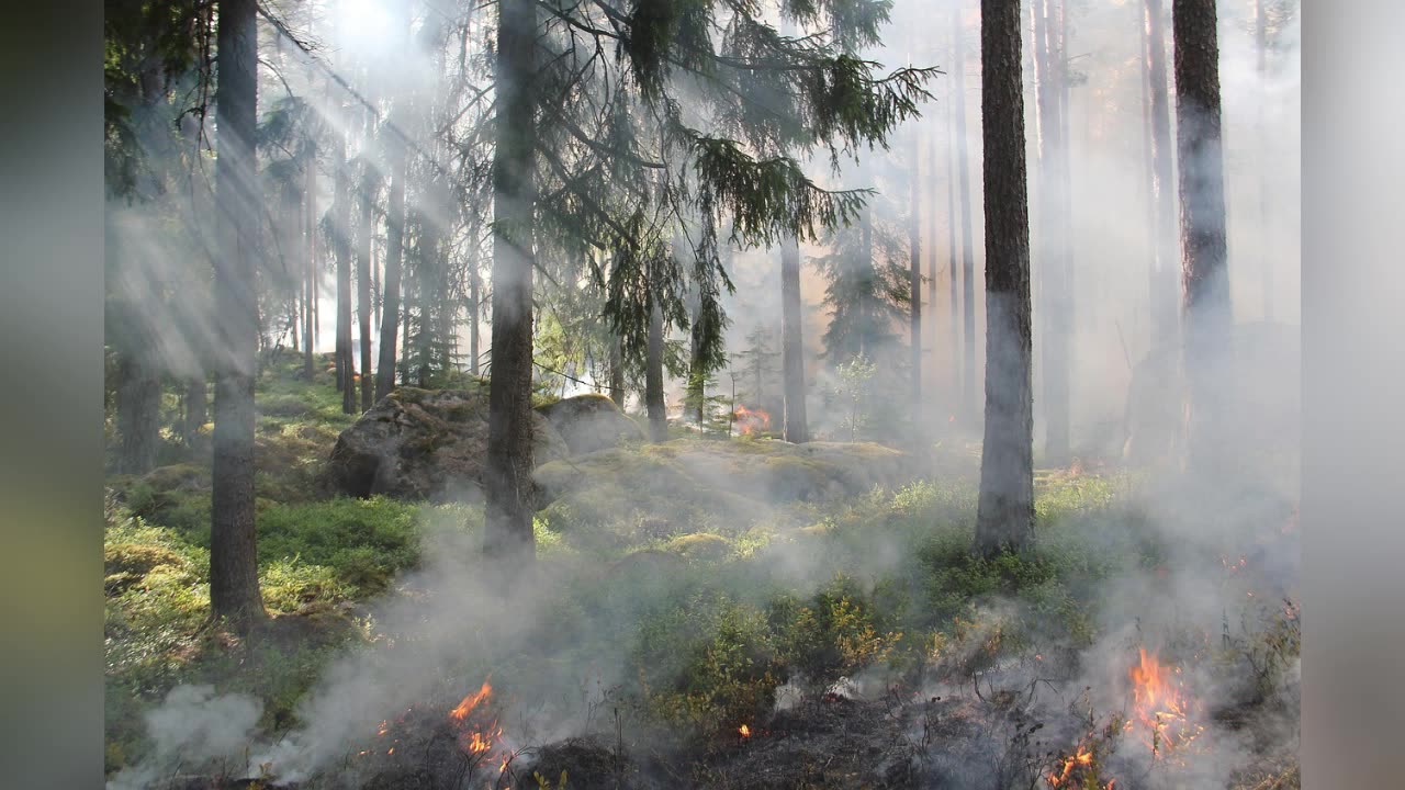 Things are Building to a Climax