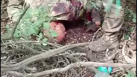 Ukraine war related/combat footage 11/24/25