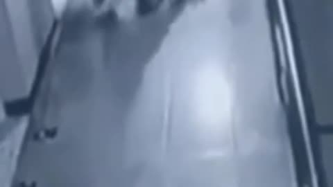 Indignación : hombre golpea brutalmente a su perro y causa furia nacional