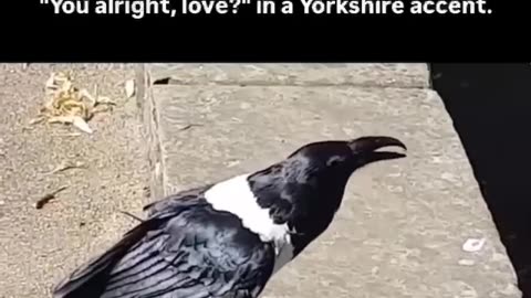 You alright, Love?!