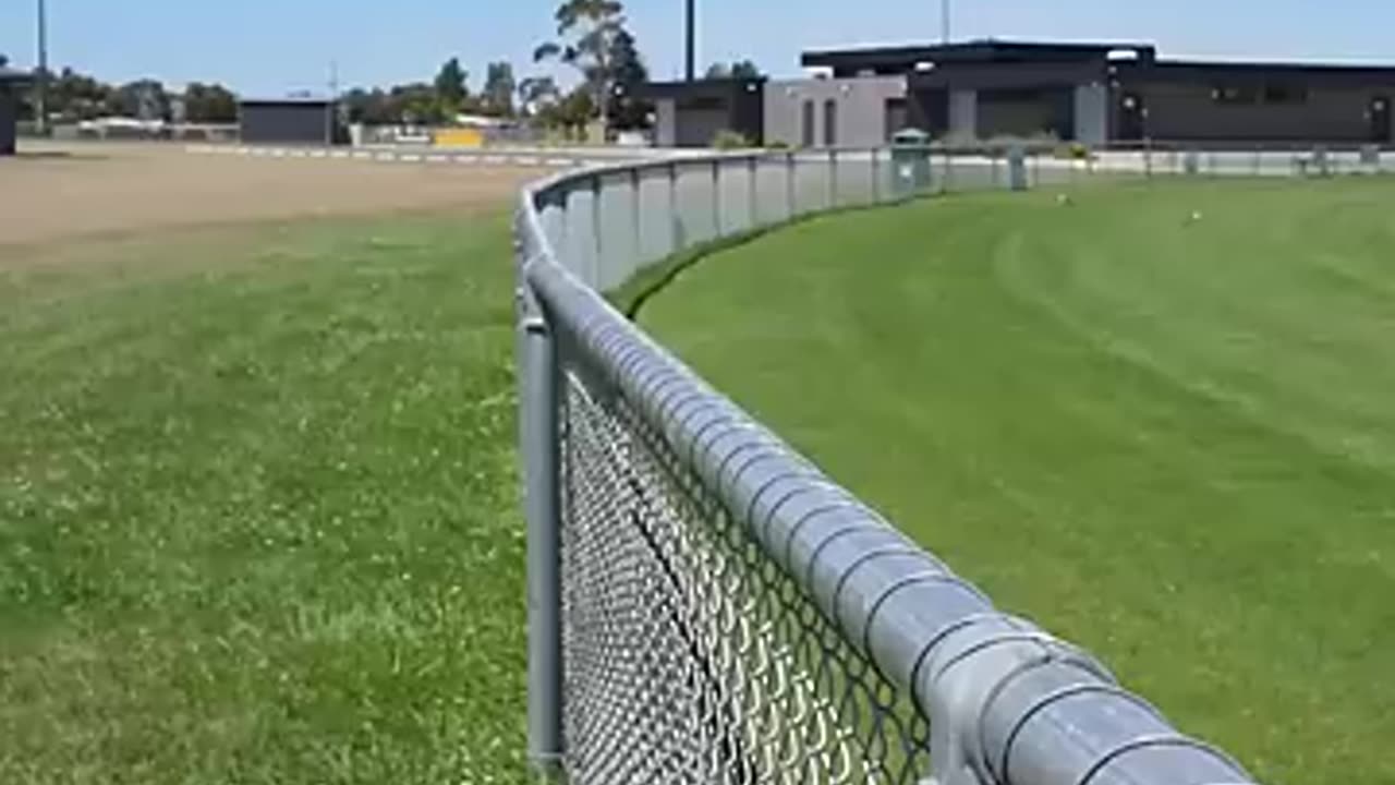 Girl kicks bottle meme