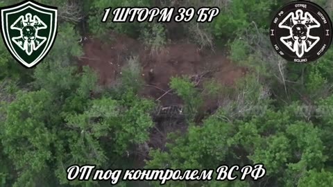 The Sakhalin Storm Detachment Captured New Positions East of Pokrovsk