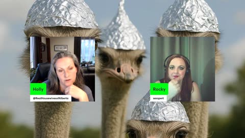 4Chan Lies, Blue Skies & 400 Dead Birds