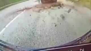 GRAPHIC: Swatted Like A Fly