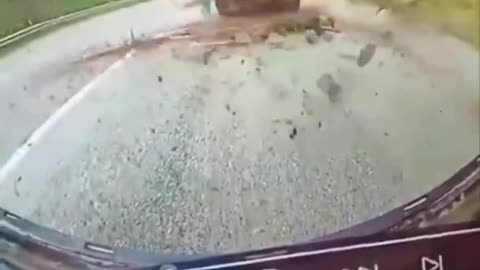 GRAPHIC: Swatted Like A Fly