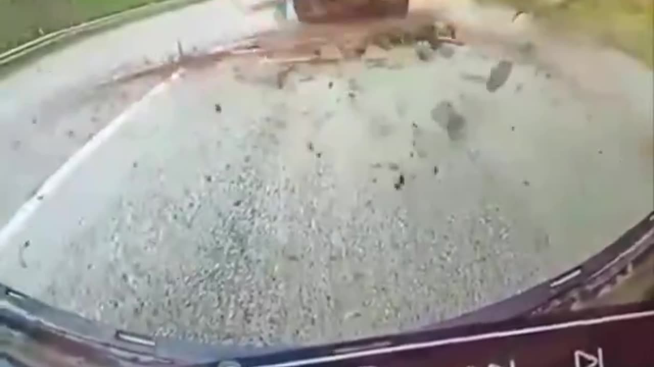 GRAPHIC: Swatted Like A Fly