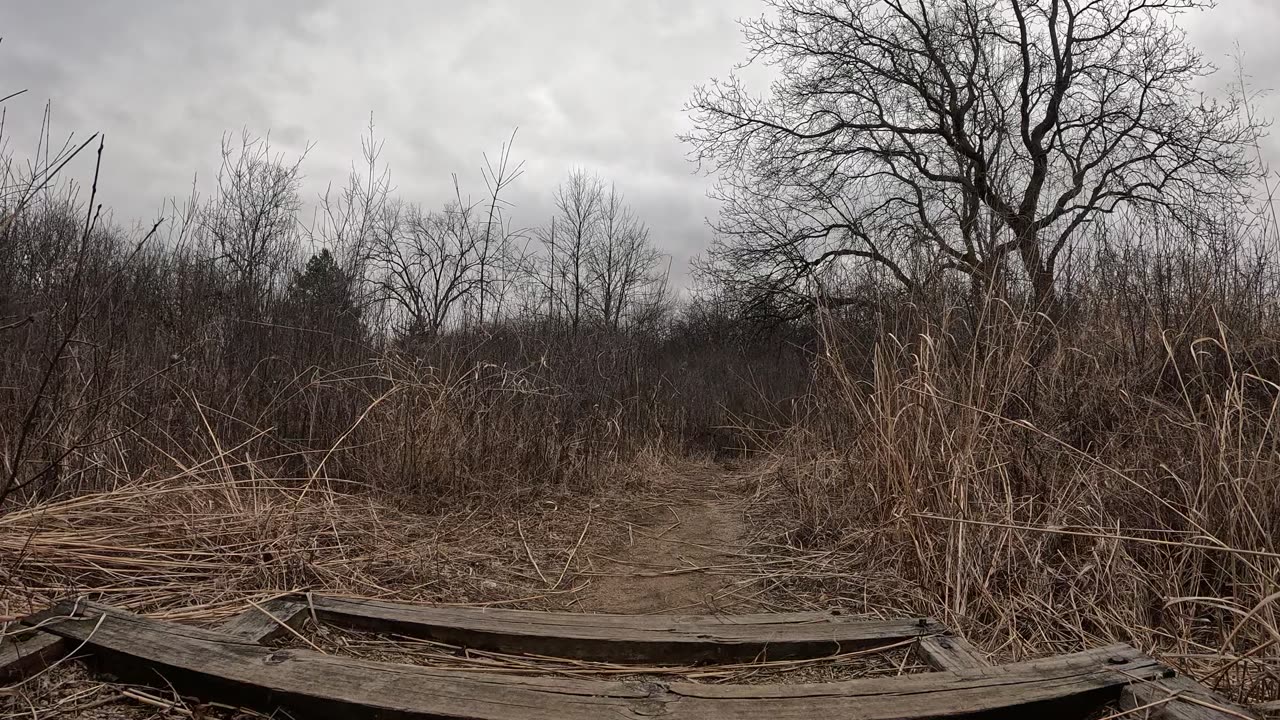 Going down the stairs
