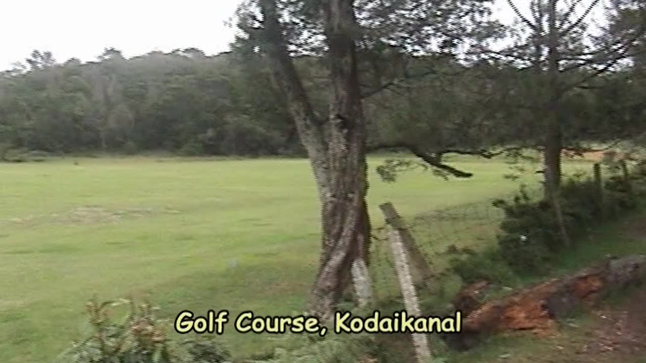 Kodaikanal Golf Course: Amidst the Clouds | One of India's Oldest & Highest Courses