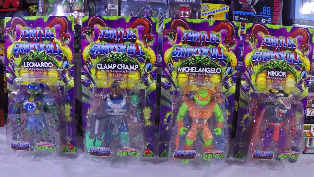Turtles of Grayskull Wave 6 case unboxing