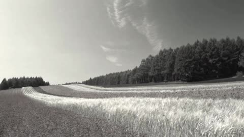 "PHENOMENAL" Video Template