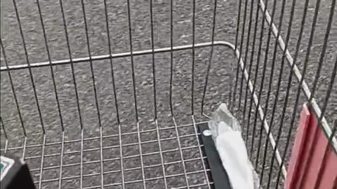 UNBELIEVABLY LAZY PEOPLE AT TARGET!