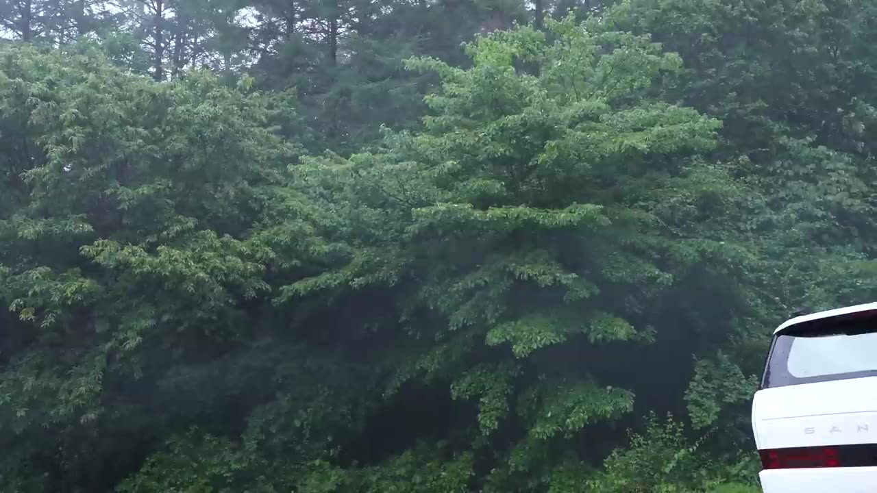 FULL Survival Guide from an 18-Year-Old Girl – 50 Days in the Forest with Ultimate Part3