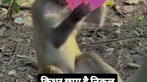 Funny shorts viral video