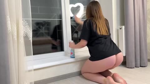 Cleaning Window and Mirror