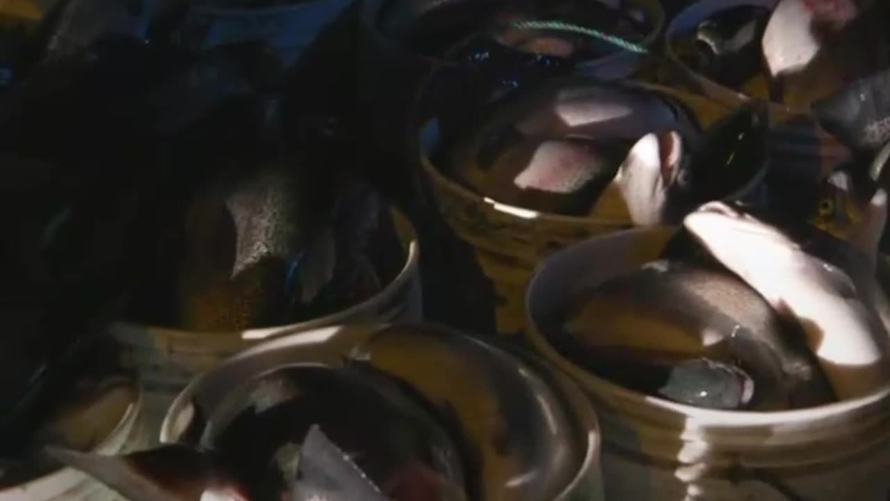 Explorando las fronteras de Perú: más que líneas en un mapa