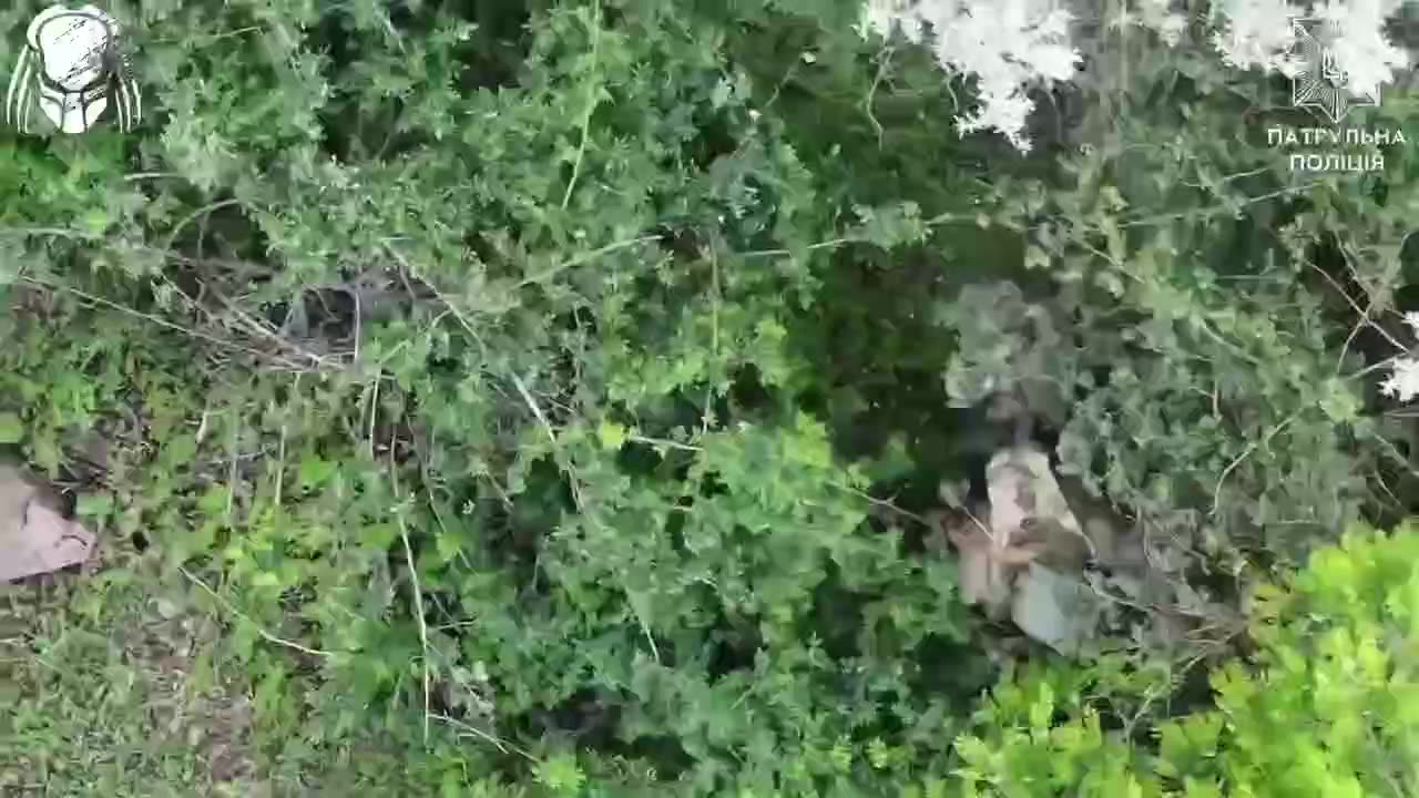 Ukrainian Drones Lighting Up Anything that Moves Around Toretsk Area