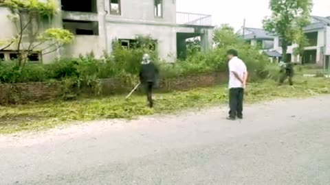 The work of clearing weeds in my home