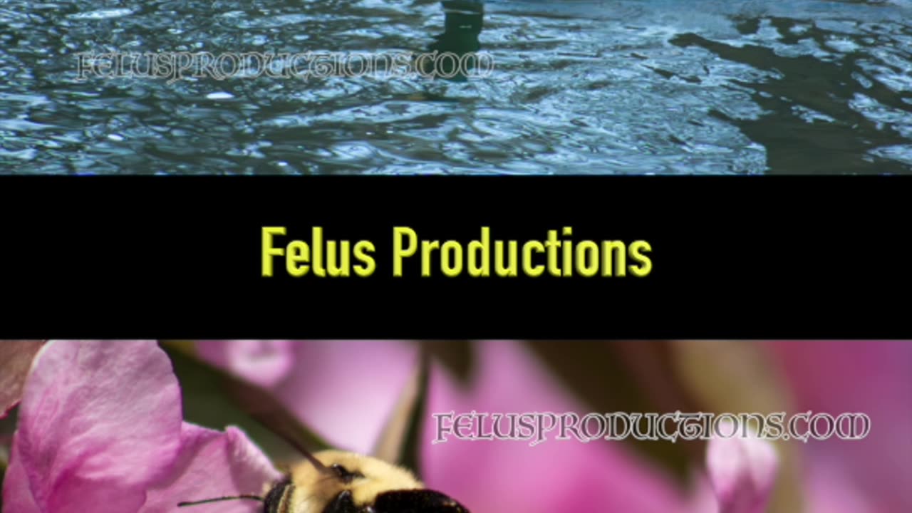 ***Free*** Screen Savers