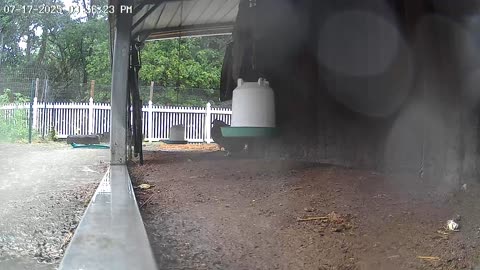 Rainy Thursday Afternoon