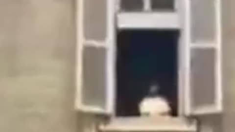 Who here remembers during the 2020 plandemic the pope just vanished on live tv?