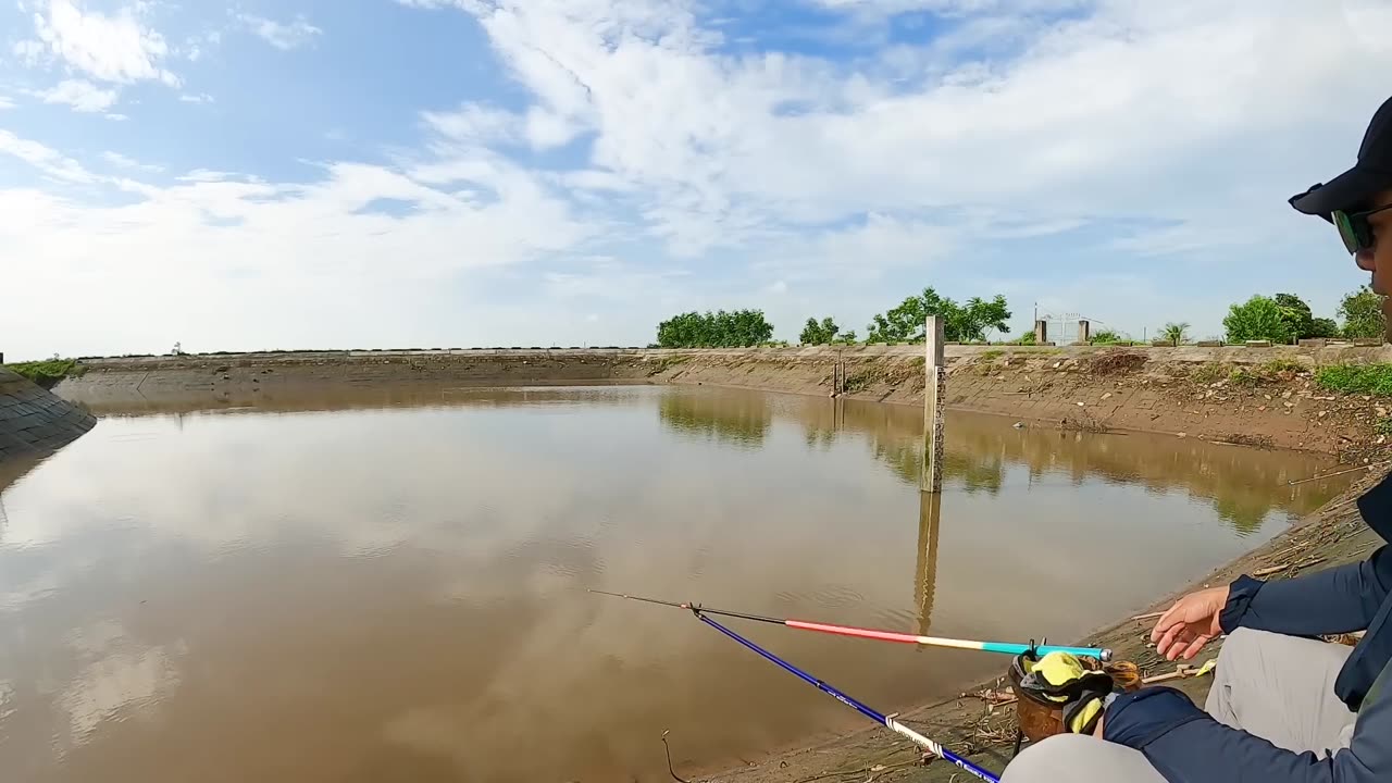 Perch Flashes in the Bright Rapids
