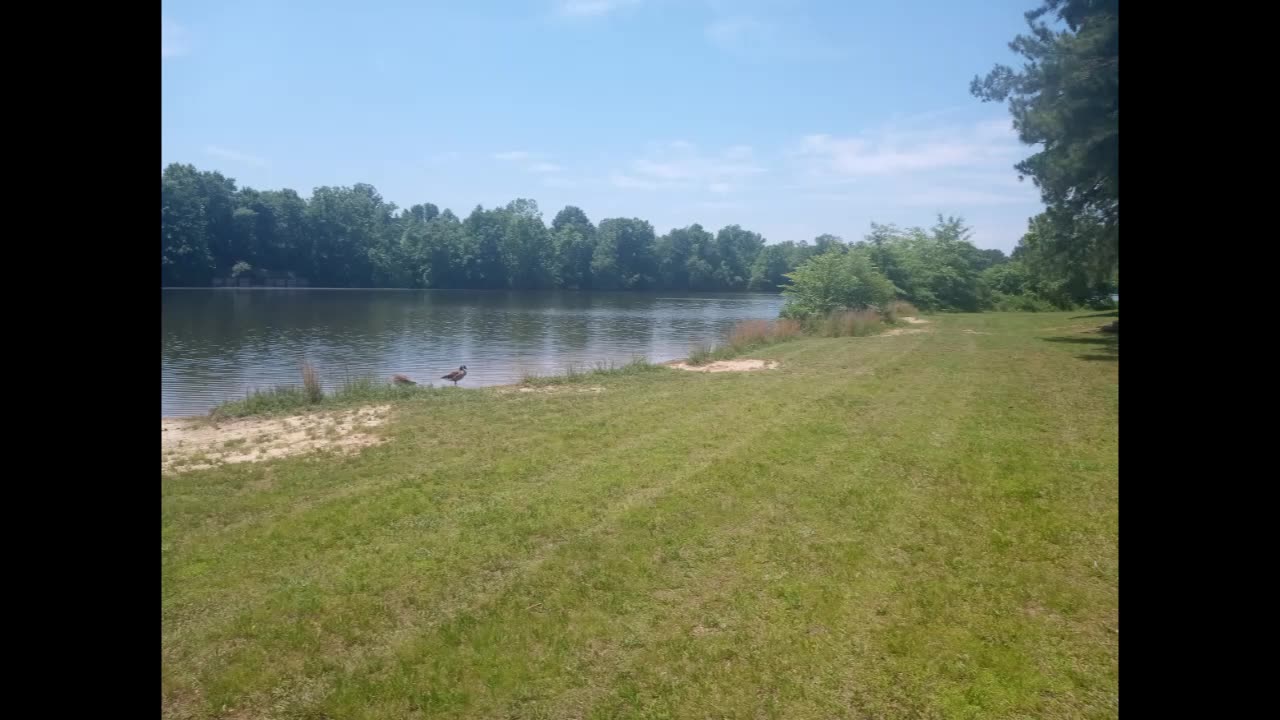 Footage from Central Virginia Library