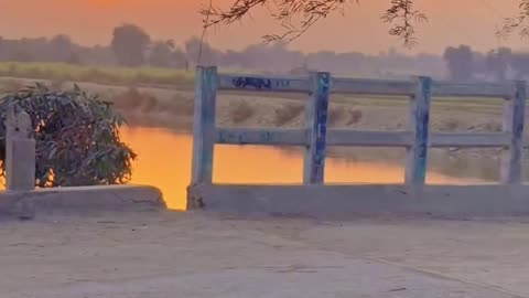 Sunset ❤ My Village ❤ #maxrecords #villagelife #larkana #sindh #pakistan