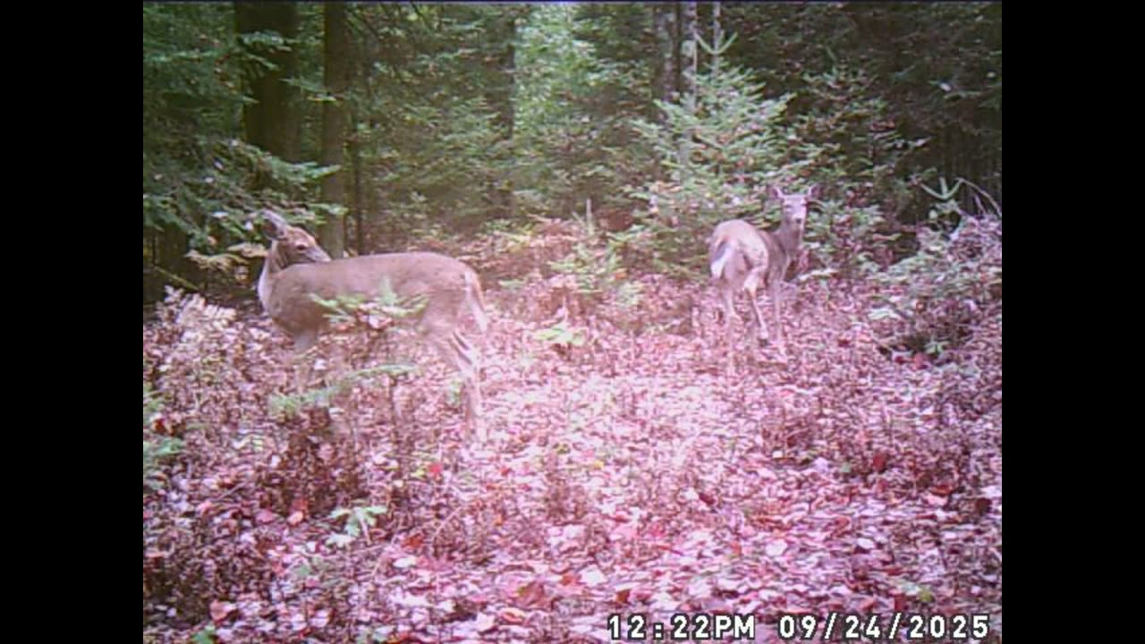 4 you've got a friend in me