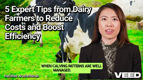 5 Expert Tips to Cut Dairy Costs