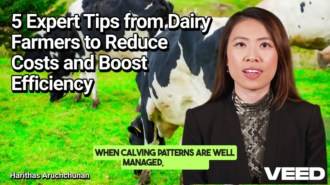 5 Expert Tips to Cut Dairy Costs
