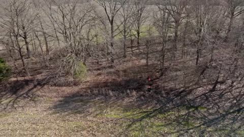 Duck Family Treasure S2 Ep 2: Quail Fever | Fox Nation