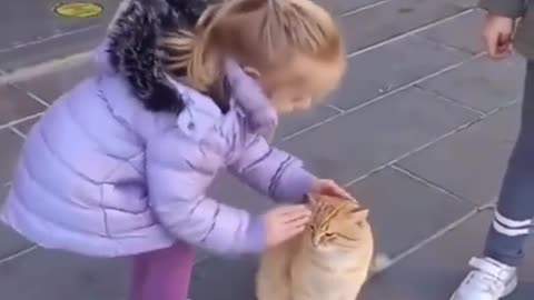 "Purrfect Playtime: Cat and Kids Have a Blast!"